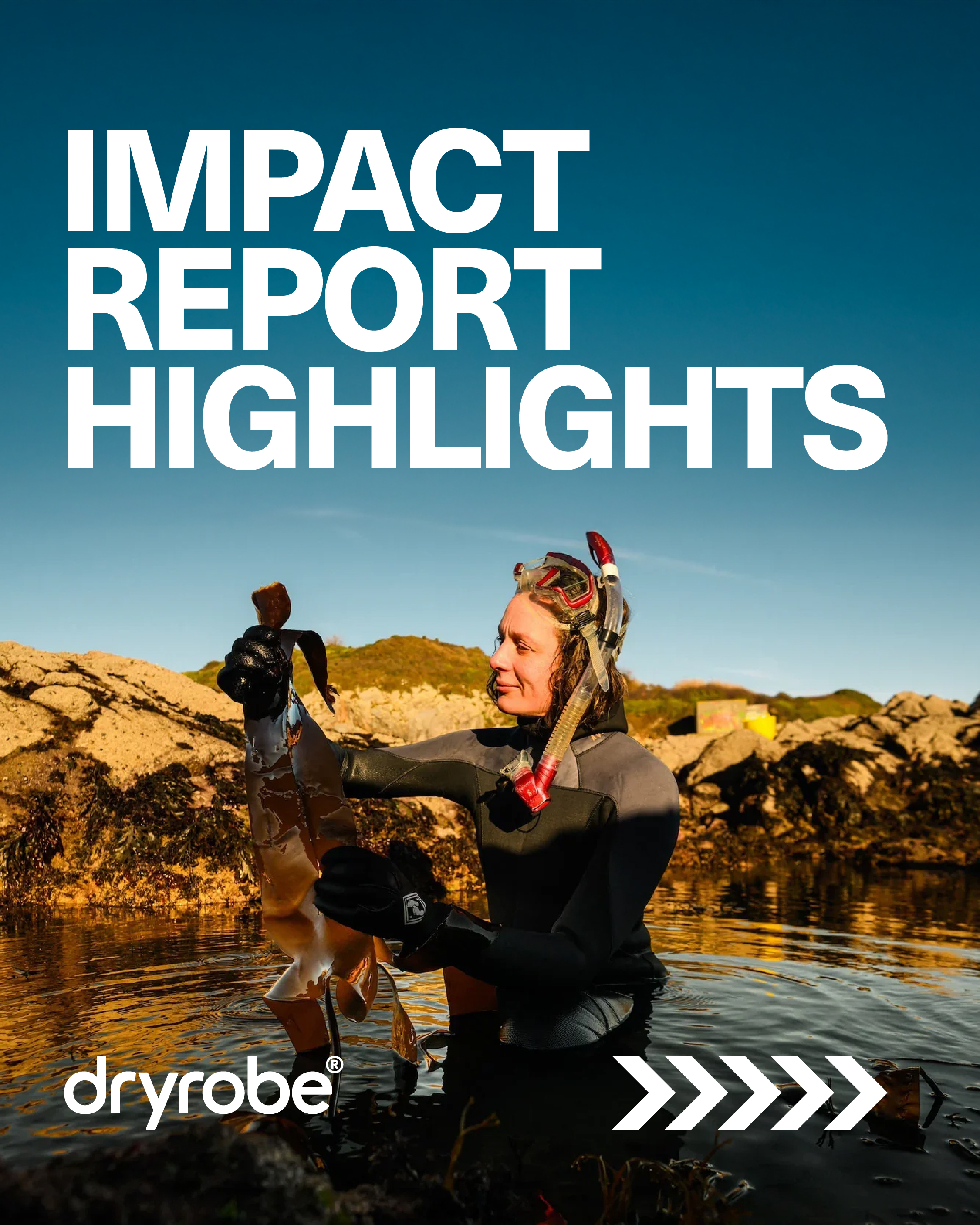 Post created by @dryrobe on 2026-01-30 19:35