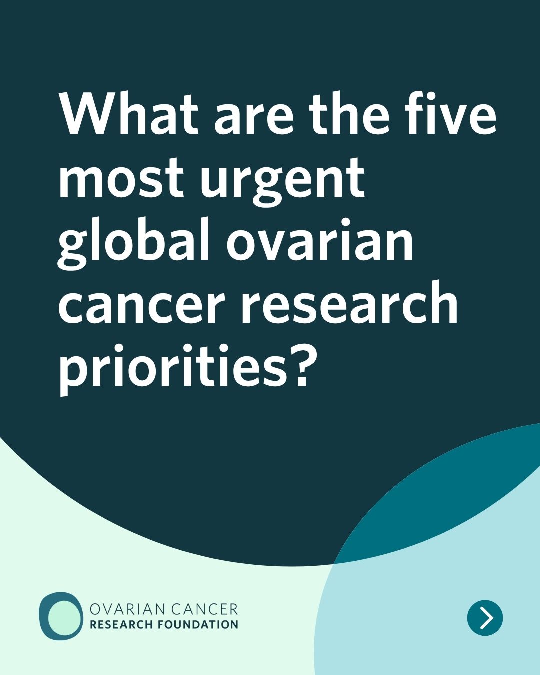 Post created by @ocrf on 2026-06-24 04:43