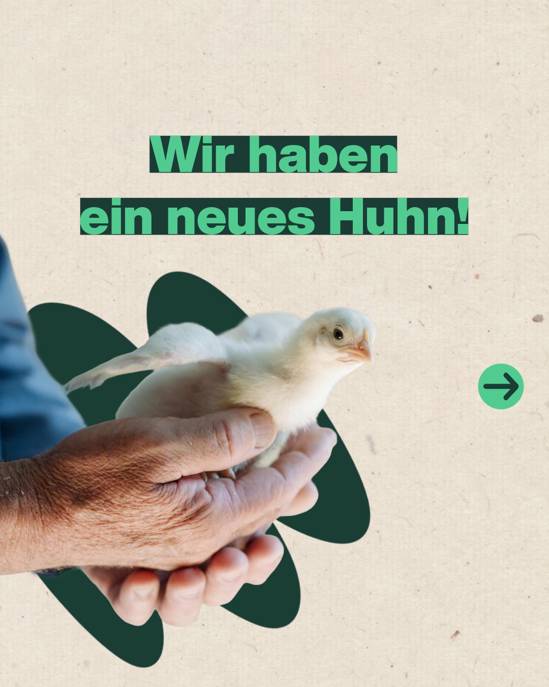 Post created by @migros on 2026-09-09 09:01