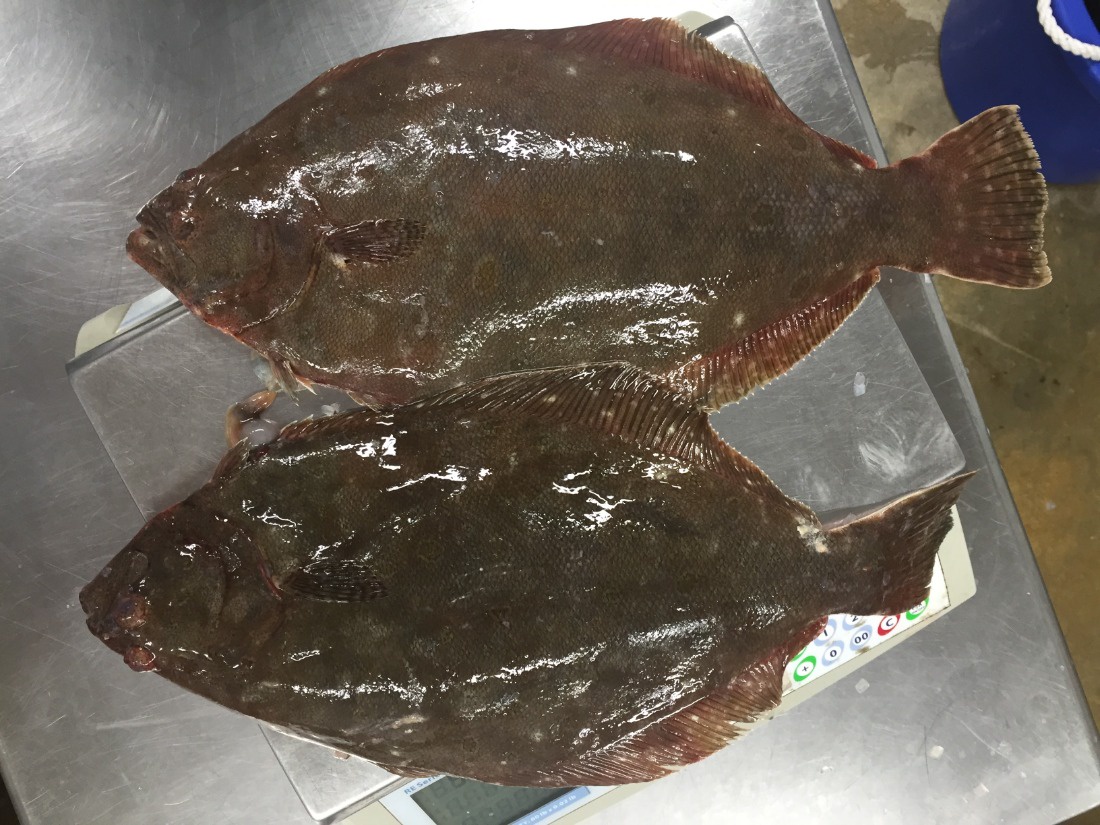 Post created by @localsseafood on 2025-09-19 18:22